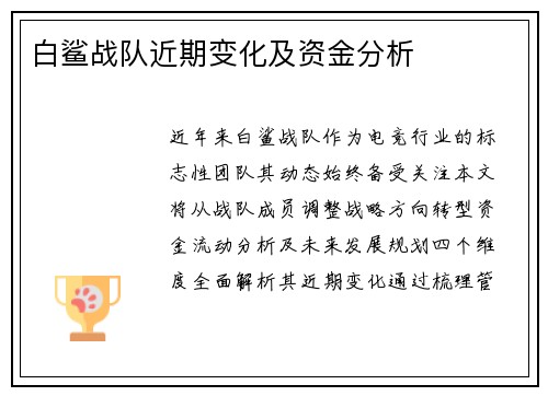 白鲨战队近期变化及资金分析