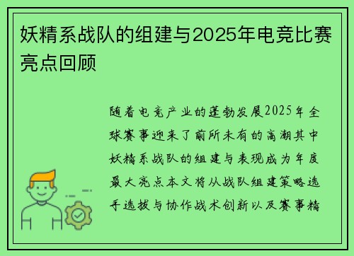 妖精系战队的组建与2025年电竞比赛亮点回顾